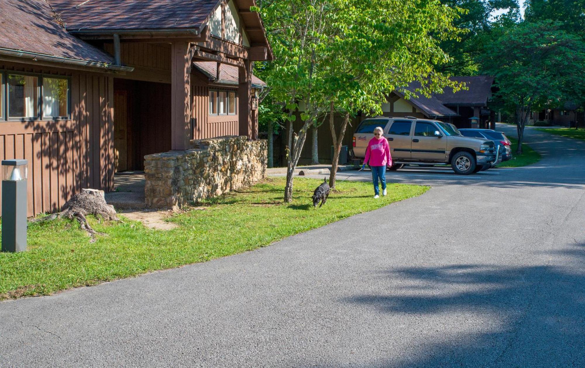 Cumberland Falls State Resort Park Honeybee Екстериор снимка
